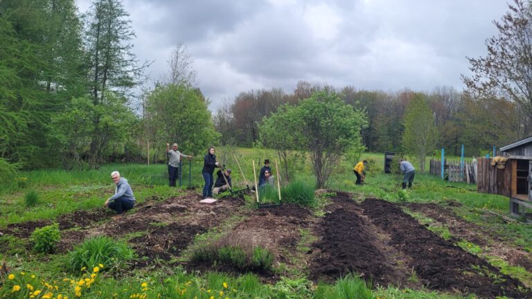 Retour sur l&rsquo;activité du 24 mai au jardin de la Bourgade